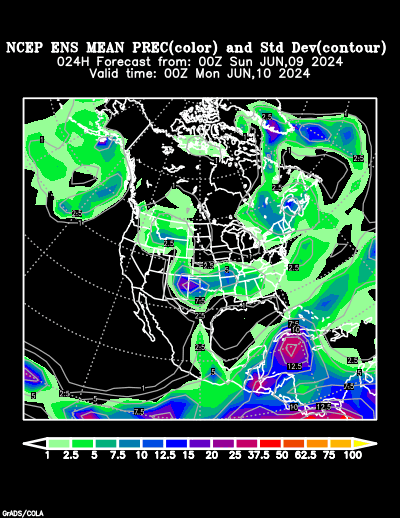 NCEP Ensemble t = 024 hour forecast product