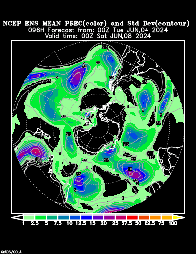 NCEP Ensemble t = 096 hour forecast product