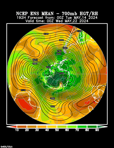 NCEP Ensemble t = 192 hour forecast product