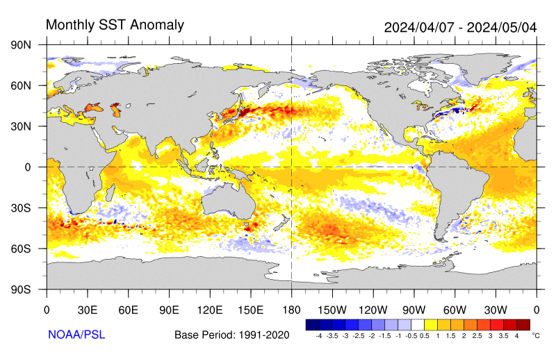 Monthly SST Anomaly