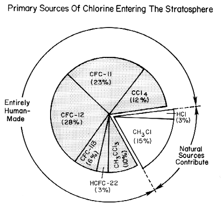 Sources of chlorine entering the stratosphere