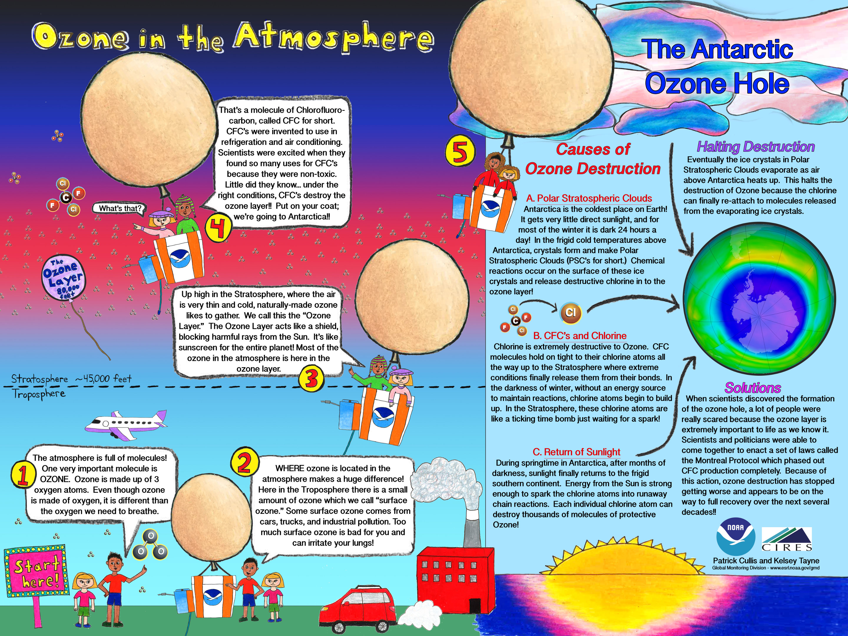 write an essay explaining the importance of ozone layer