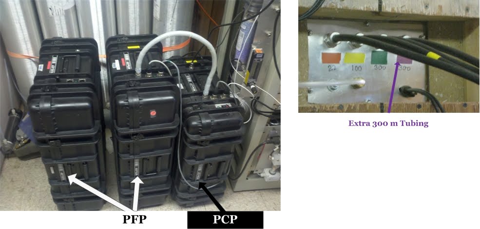 PFP and PCP packages