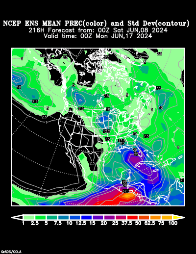 NCEP Ensemble t = 216 hour forecast product