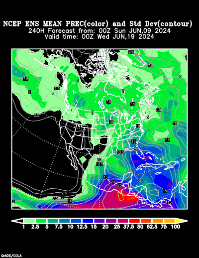 NCEP Ensemble t = 240 hour forecast product