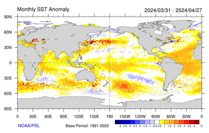 Anomalia mensile della temperatura superficiale del mare